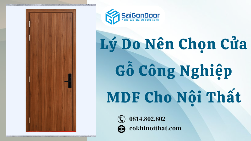 Lý Do Nên Chọn Cửa Gỗ Công Nghiệp MDF Cho Nội Thất